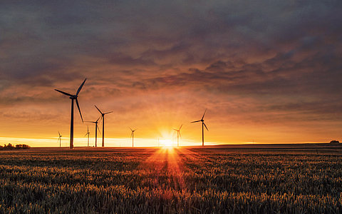 甘肃庄浪县：利用农业设施棚顶等发展光伏农业