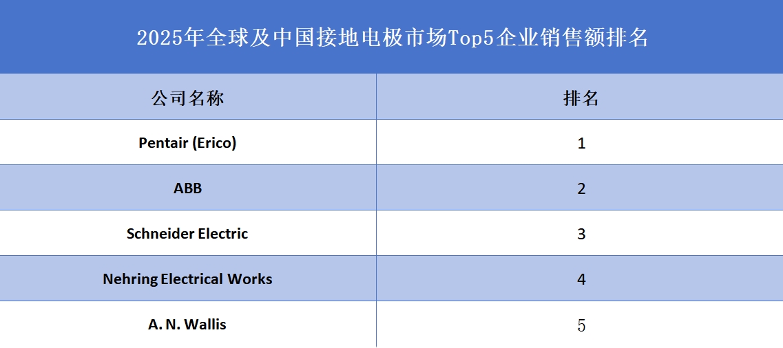 2025年全球及中国接地电极市场Top5企业销售额排名
