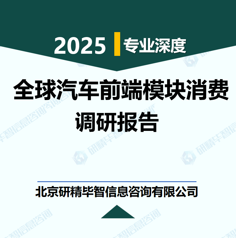 全球汽车前端模块消费行业数据及市场调研分析报告