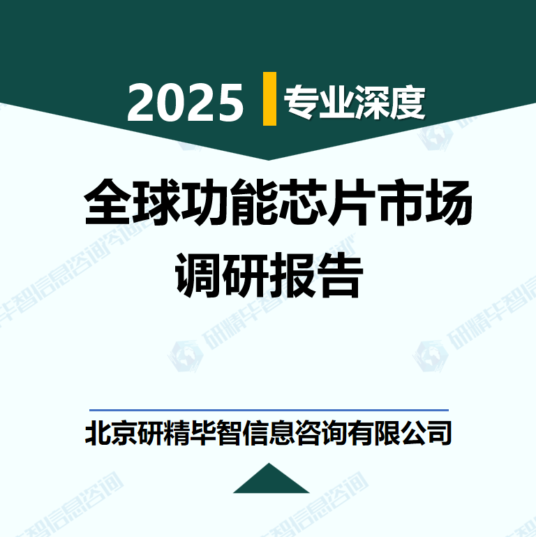 全球功能芯片细分赛道增长潜力与投资策略分析报告