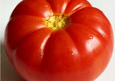 全球西红柿行业全链条整合与贸易新格局 全球西红柿行业全链条整合与贸易新格局